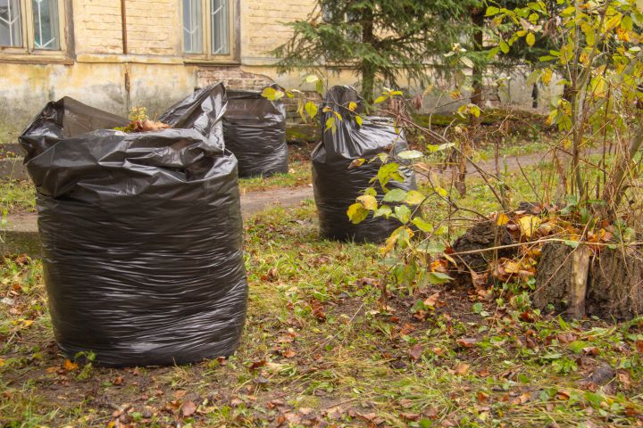 Image Yard Waste & Green Waste Removal