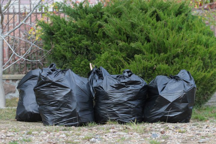 Image Yard Waste & Green Waste Removal